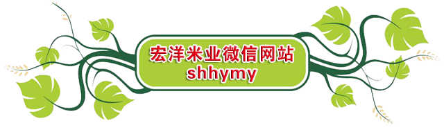 宏洋米業微信網站.png